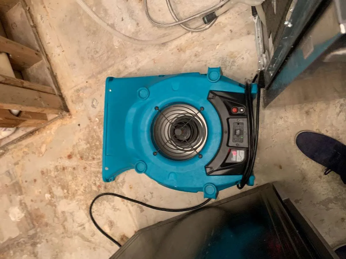 Air mover drying equipment for Mold Remediation & Removal in Cottonwood